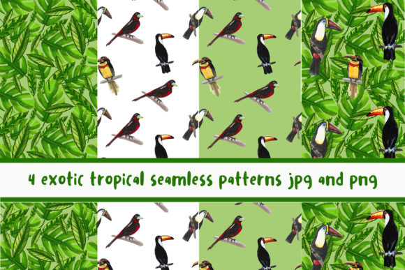 4 Exotic Tropical Seamless Patterns for Creative Projects